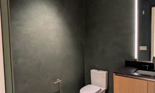 Bathroom Roman Clay Painter