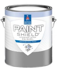 Paint Shield Paint Can