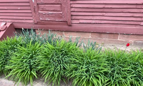 Care had to be taken with fragile doors and window frames.