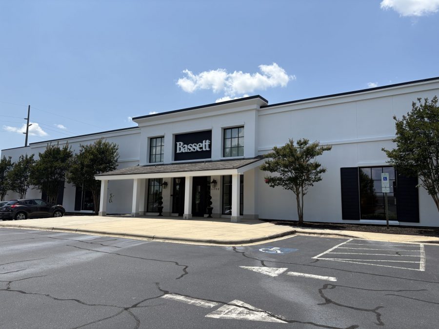 Painted Basset After Preview Image 1