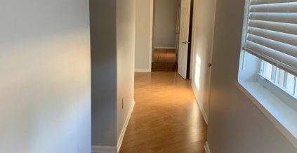 Residential Painting Project