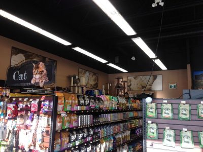 Commercial Retail painting by CertaPro painters in Medicine Hat, AB