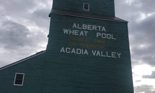 Acadia Valley Repaint