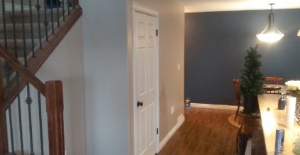 Interior House Painting
