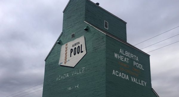 Finished grain elevator