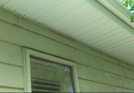 Damaged trim and siding