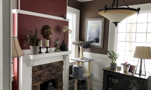 Interior Walls & Trim