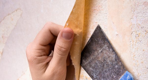 painting services for homes and businesses