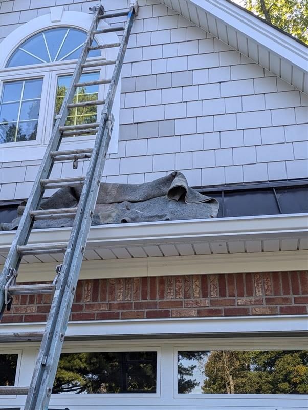 Gutter and Roof Painters in Greenville, IN Preview Image 6