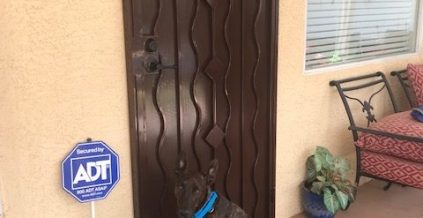 Exterior Door Painting