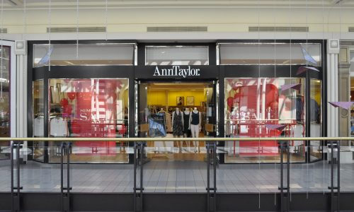Ann Taylor