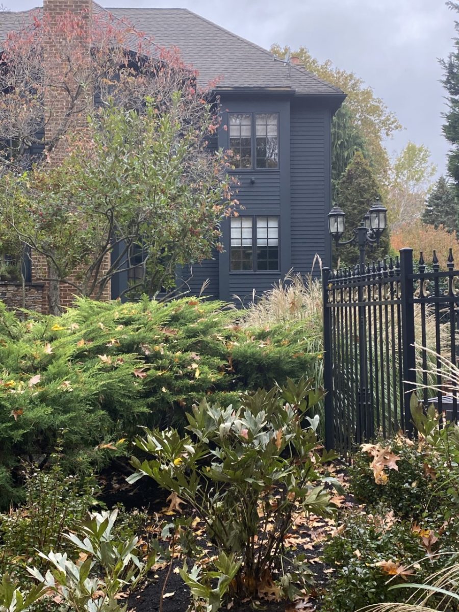 Black Exterior Preview Image 5