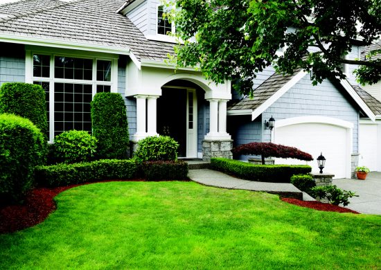 Clean Exterior - Professional Soft Washing Services Southern Westchester, NY