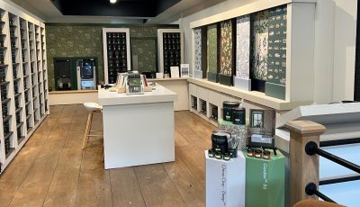 Wallpaper Installation & Painting Services