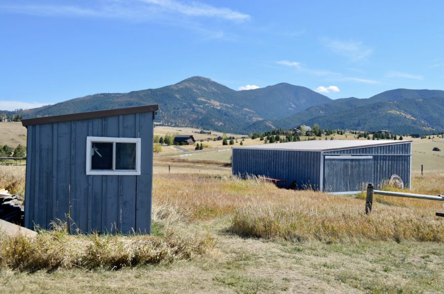 shed Preview Image 2