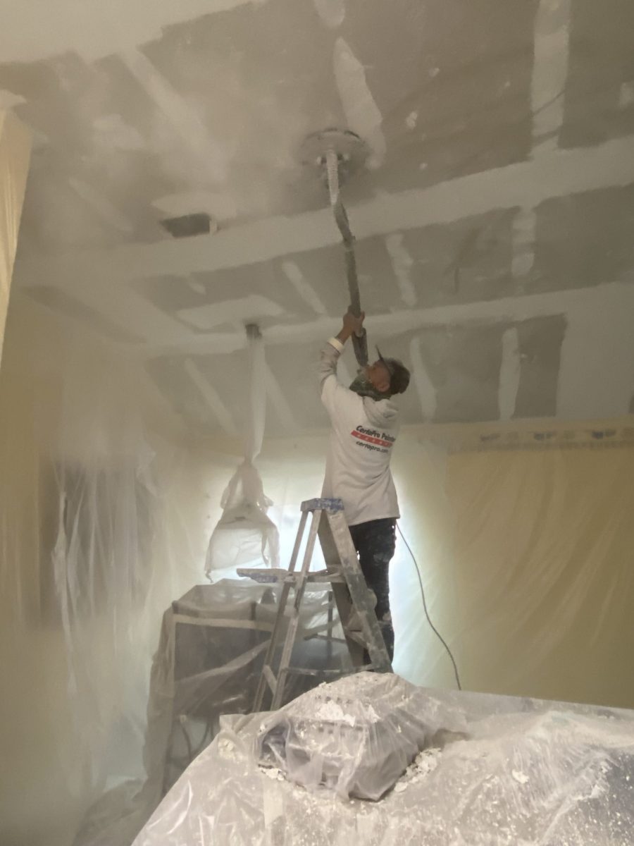 painter removing popcorn ceiling Preview Image 10
