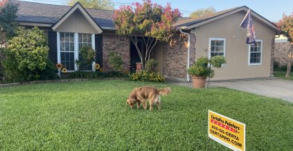 Exterior Residential Painting – Watauga ...