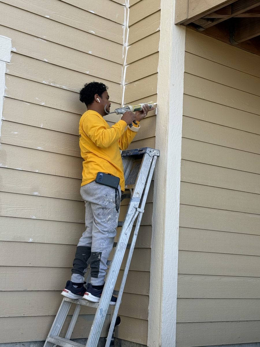painter working on ladder against house Preview Image 2
