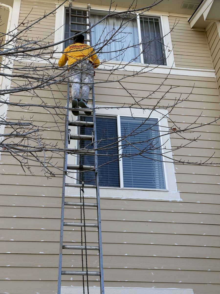 painter on ladder against house Preview Image 1