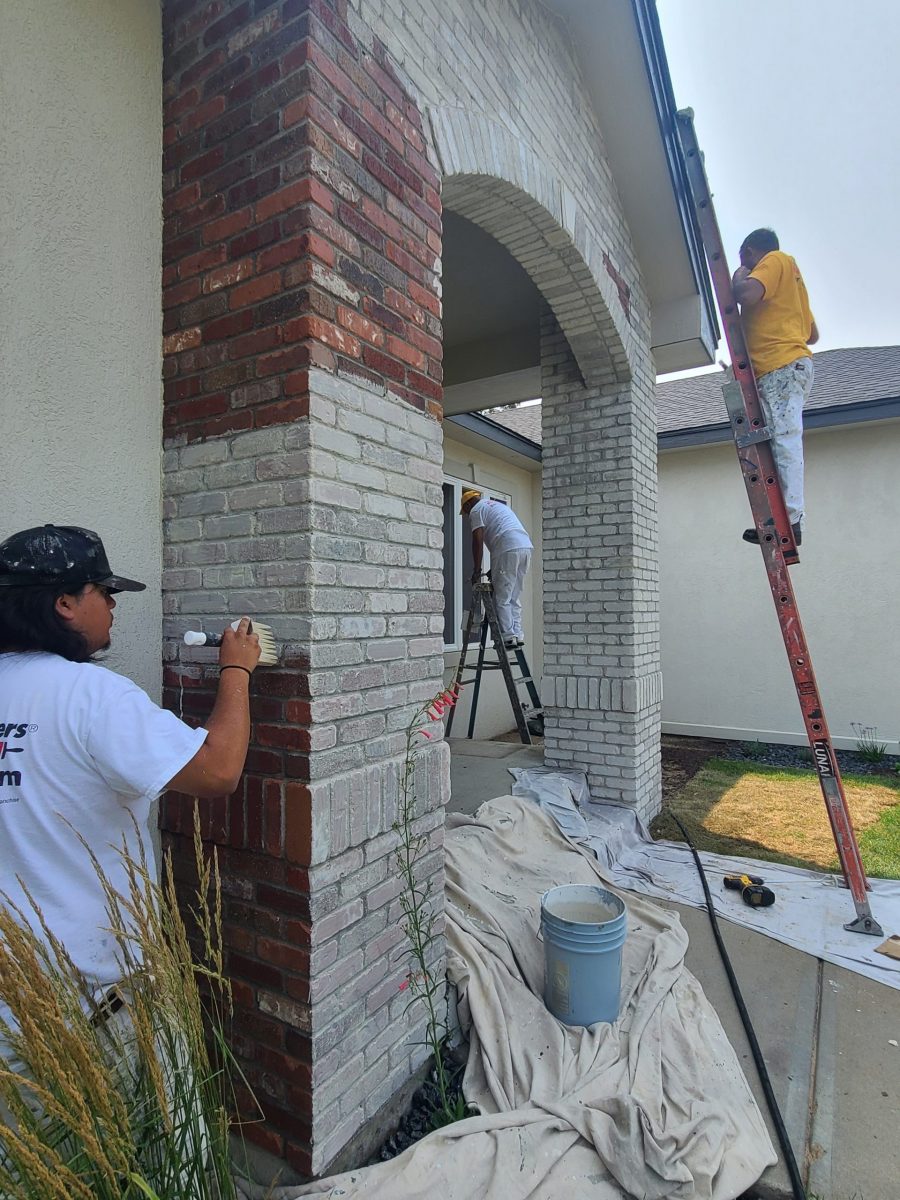 Limewashing (During) Preview Image 1