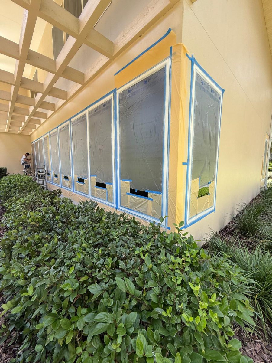 home windows with plastic sheeting during repaint Preview Image 3