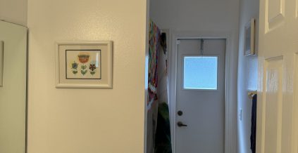 Bathroom Brightening Repaint