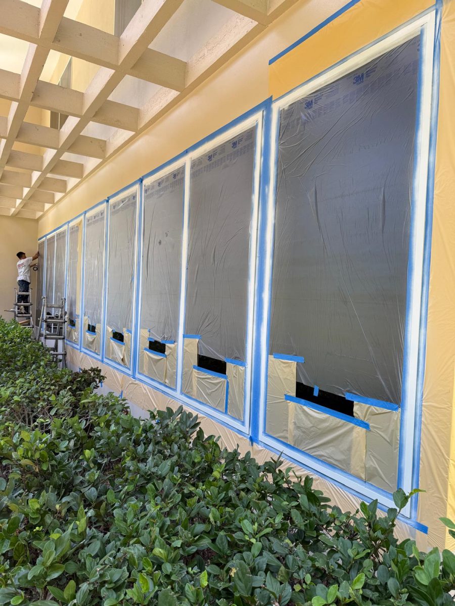 home windows with plastic sheeting during repaint Preview Image 4