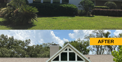 Color Scheme Update in Longwood, FL