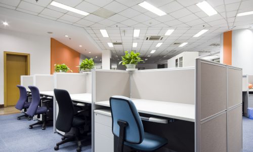 Office Interior Painting