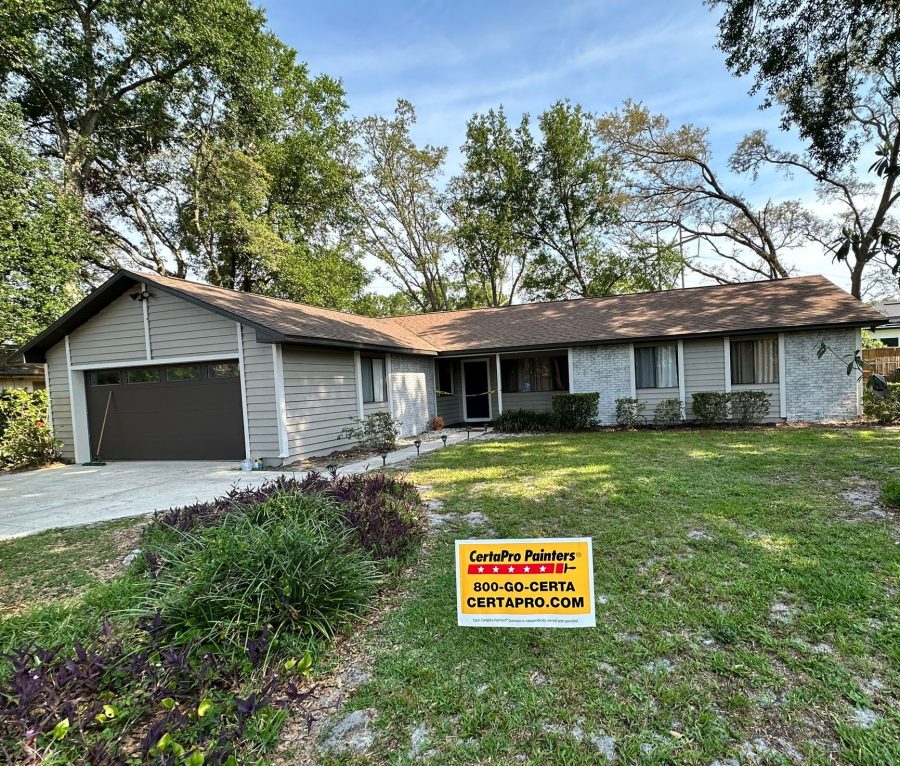 Residential Painting Project Preview Image 2