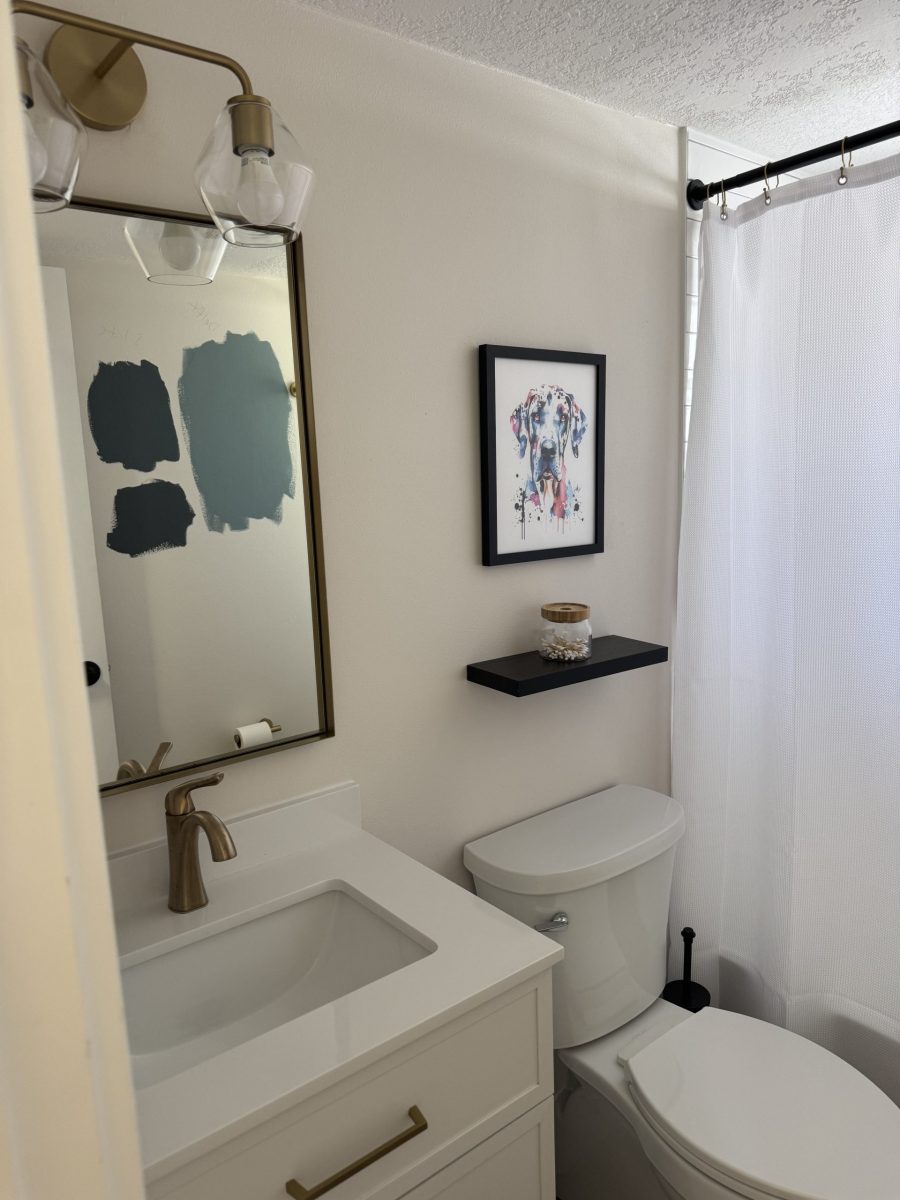 home bathroom interior before repaint Preview Image 8