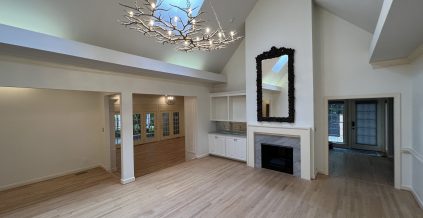 Large Room Interior Painting
