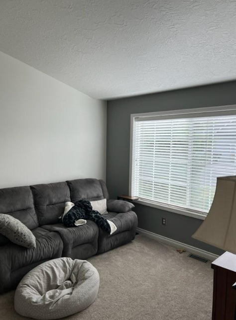 Interior house painting in Spokane Preview Image 2