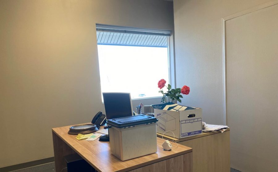 SHBA Interior Painting Preview Image 5