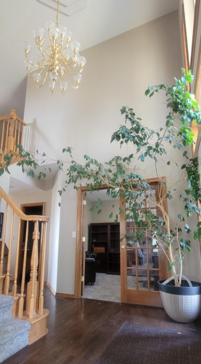 Interior house painting by CertaPro Painters in North Spokane Preview Image 14