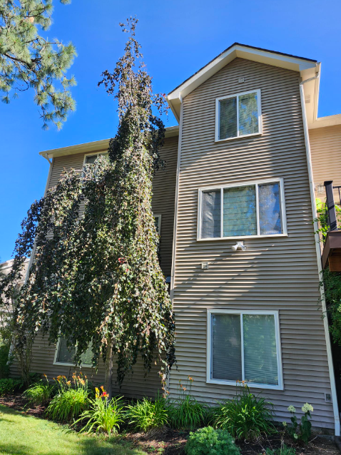 Exterior painting in South Hill, Spokane Preview Image 4