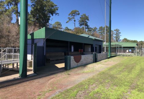 commercial painting cypress