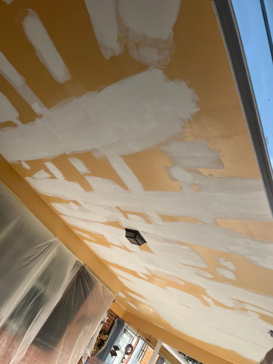 in progress ceiling overhead garage Preview Image 8