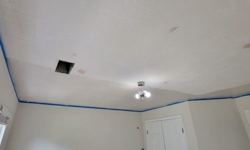 Ceiling Work in Progress