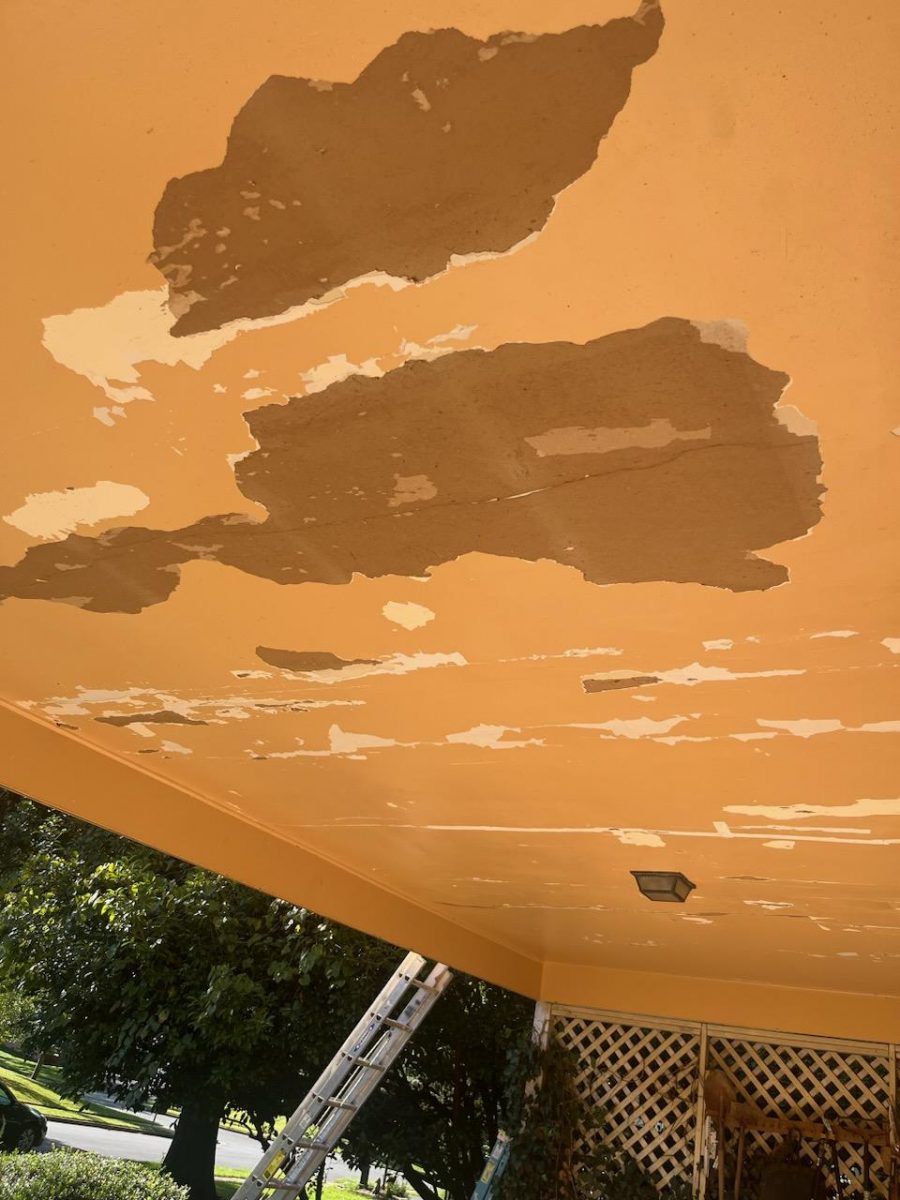 damage to garage ceiling Preview Image 6
