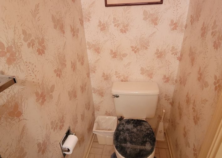 wallpapered powder room Preview Image 2
