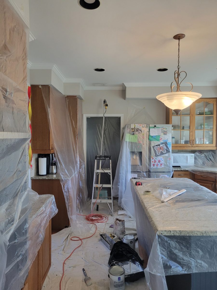 during painting project Preview Image 2