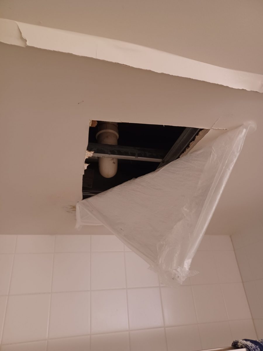 during ceiling repair Preview Image 3