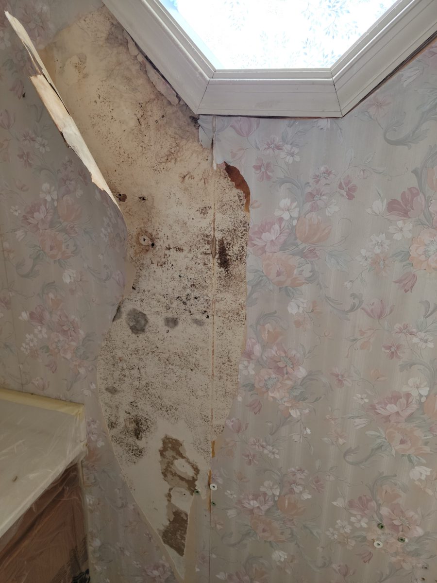 mod on wall in powder room Preview Image 4