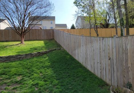 before fence cleaning