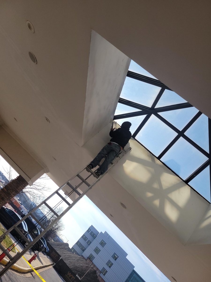 high ceiling painting Preview Image 5