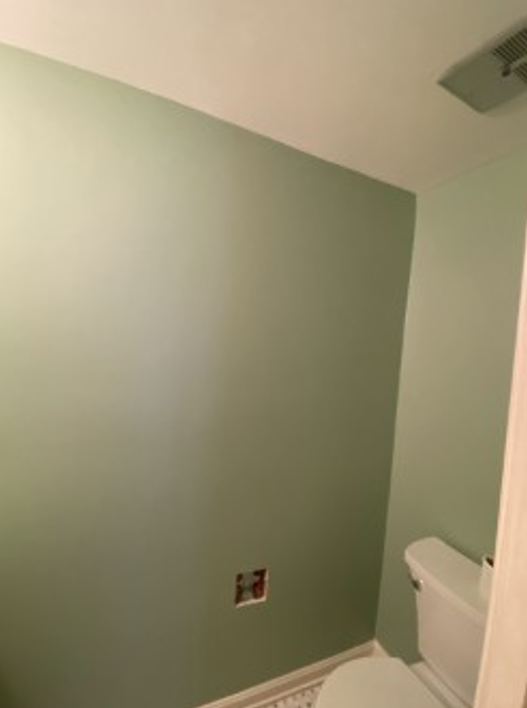green painted powder room Preview Image 1