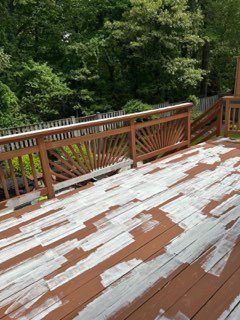 during deck painting Preview Image 10