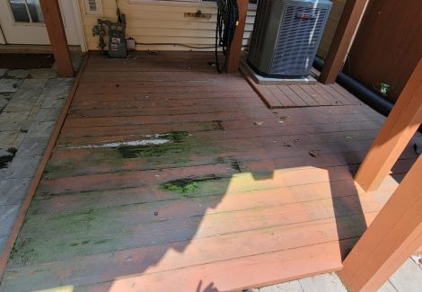 mold on patio