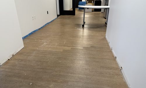 Baseboard Removal & Repaint